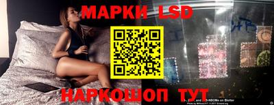 амф Гай