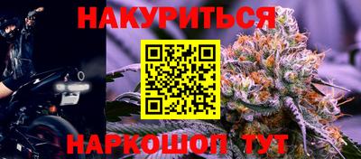 амф Гай