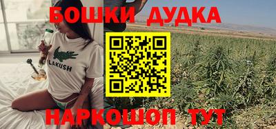 амф Гай