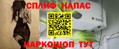 амф Гай