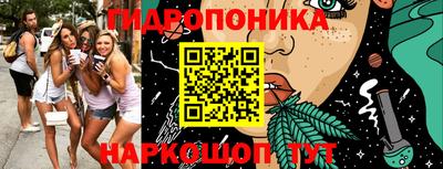 амф Гай