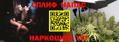 амф Гай