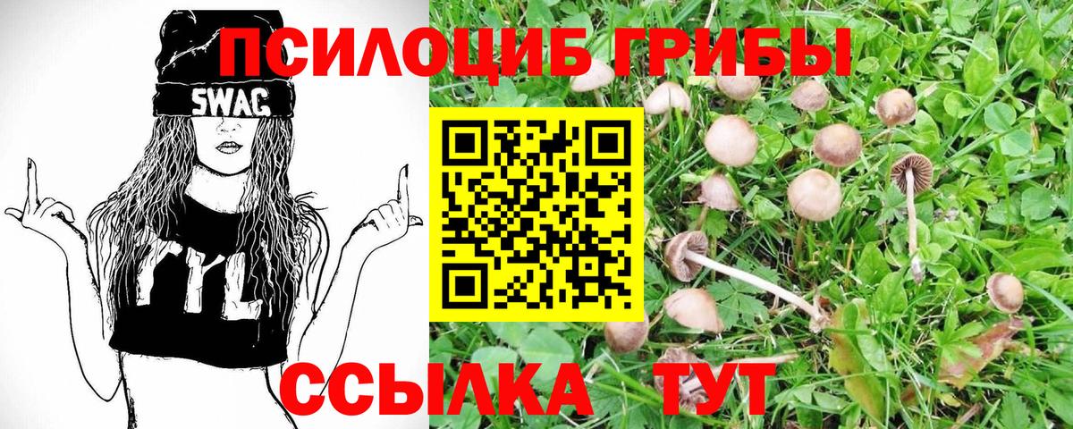 Галлюциногенные грибы Psilocybine cubensis  Вход с VPN  Новодвинск 